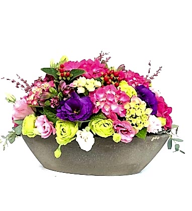 Sabuncakis Ortanca Serisi