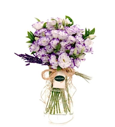 My Love Lisyanstuslar