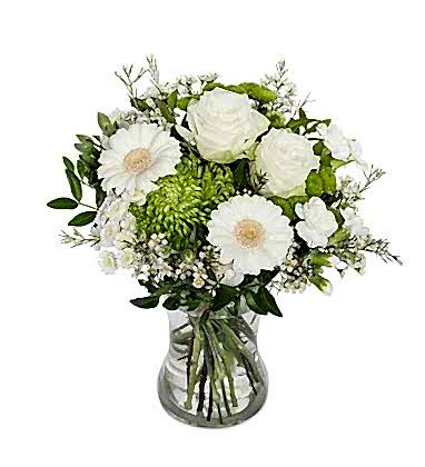 Beyaz çiçek rüyası