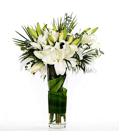 Beyaz Güzellik Lilyum Aranjmanı