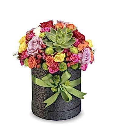 Renkli Sürpriz Kutusu