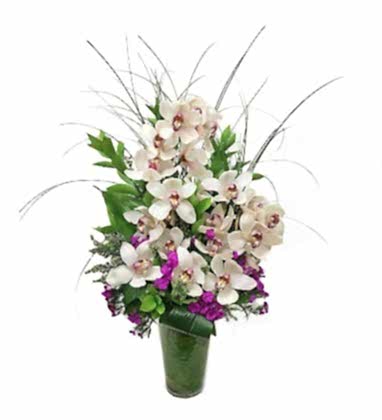 Cymbidium Orkide ve Yeşillikler ile Aranjman