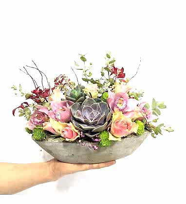 Pembe Güllü Sukulent Serisi