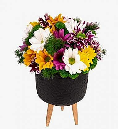 Krizantem Mix Tasarım