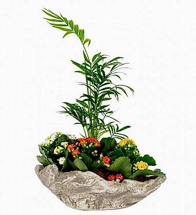 Kaya Tipi Kamadora ve Kalanşo Tasarım