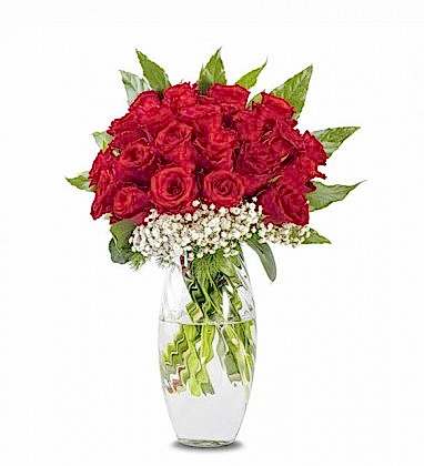 Vazoda 25 Kırmızı Güller