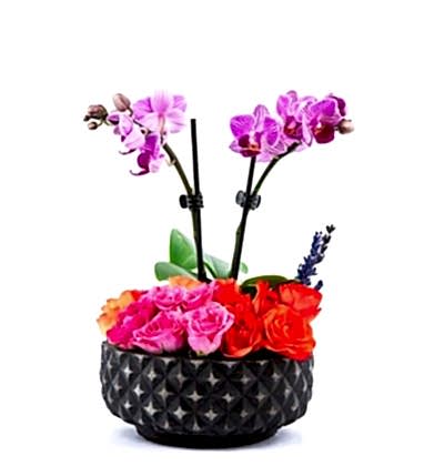 Renkli Çardak Güller Ve Mini Orkide