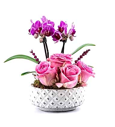 Pembe Gül Ve Mor Orkide