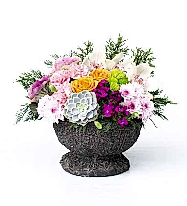 Mevsim Aranjmanı Sukulent ve Orkideli