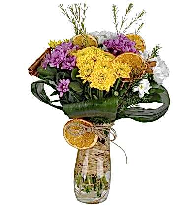 Seosonal Baby Papatyalar