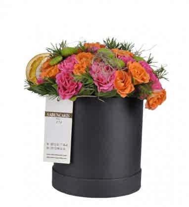 Box Star Kutuda Güller