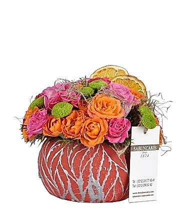 Rose Radiance Güller