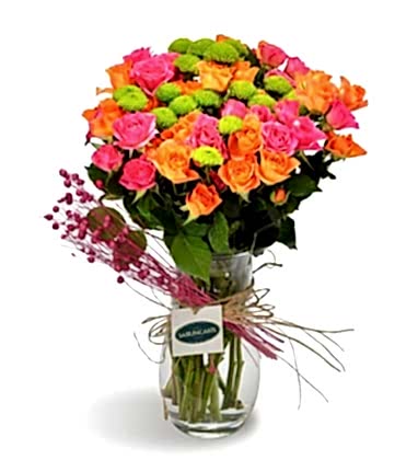 Arbor Rose in Vase