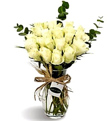 White Roses