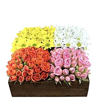 Sabuncakis Güller ve Papatyalar