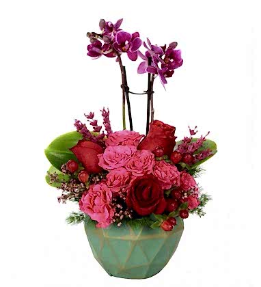 Mini Orchid Mini Roses