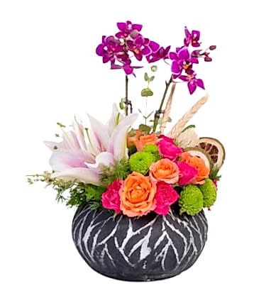 Premium Beyaz Pembe Gül Orkide