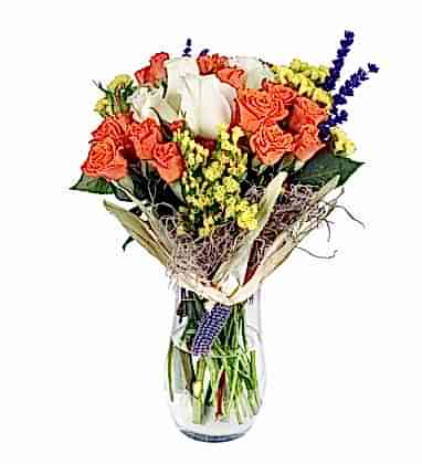 White Orange Güller