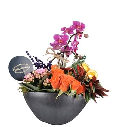 Special Small Orkide Güller