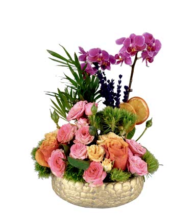 Mini Orkide Renkli Güller