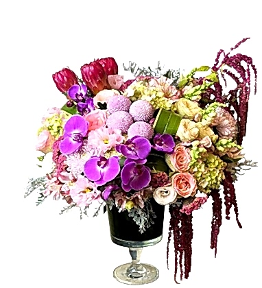 Büyülü Dünya Aranjmanı