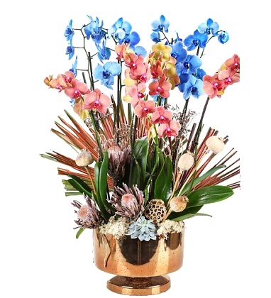 Gold Premium Orchids