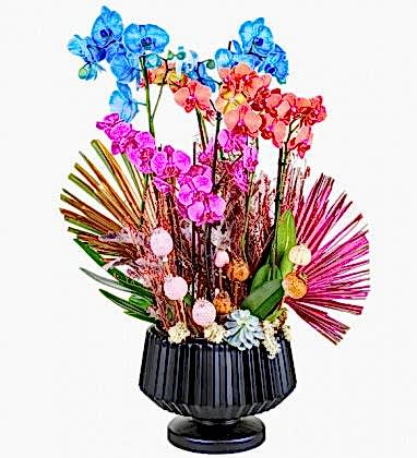 Renkli Deluxe Orkideler
