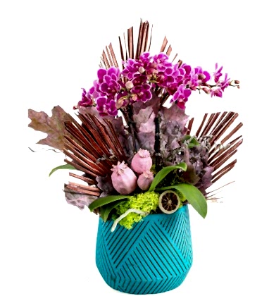 Purple Love Mini Orkide