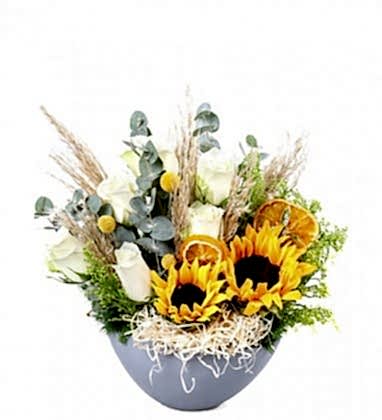 Beyaz Gül Ayçiçeği