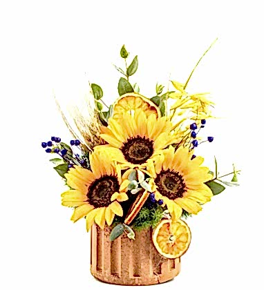 Garden Ayçiçekleri