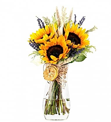 Sarı Güzellik Ayçiçekleri