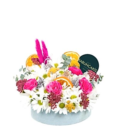 Spring Renk Dünyası