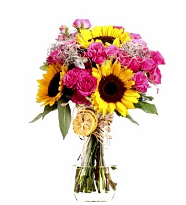 Beauty Yellow Ayçiçekleri