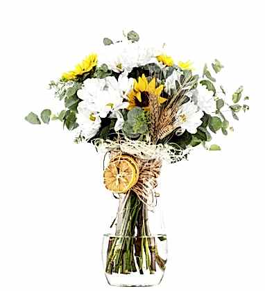 Etkileyici Güzellik