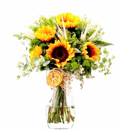 Stilrent Ayçiçekleri