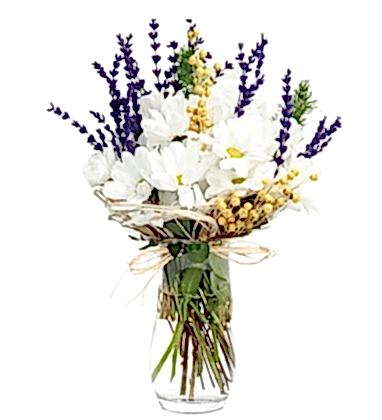 Beyaz Aşk Papatyalar