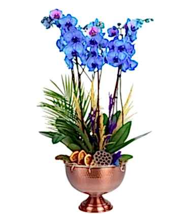 Bakır Design Blue Garden