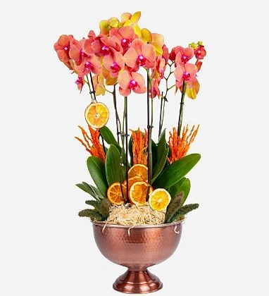 Bakır Design Ateş Rengi Orkide