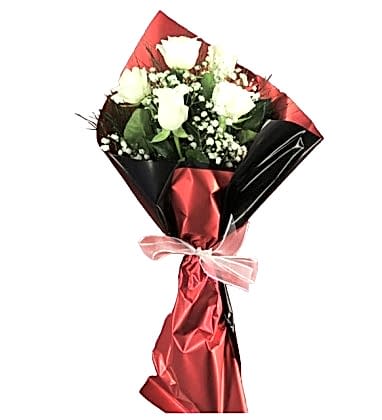 White Lolita Güller