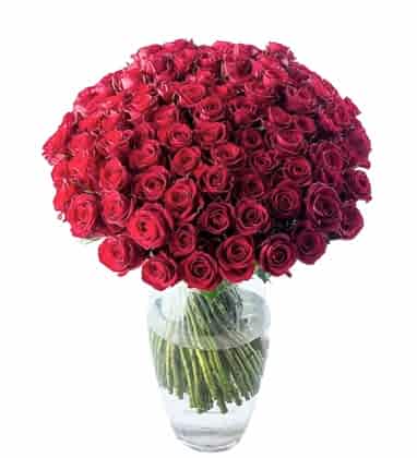 100 Red Roses 