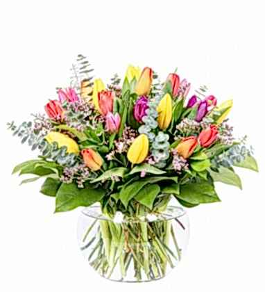 Renkli Lale Bahçesi