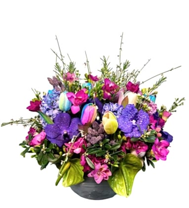 Rengarenk Deluxe Aranjman