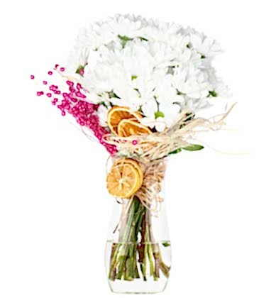 Beyaz Mutluluk Papatyalar