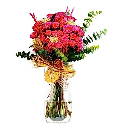 Vivien Pembe Çardaklar