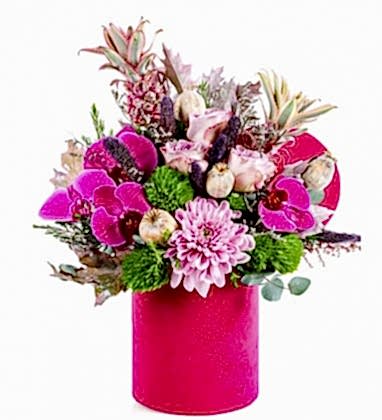 Pink Box Orchid Detail