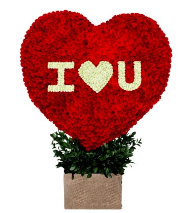 Kırmızı ve Beyaz Güller Kalp Design