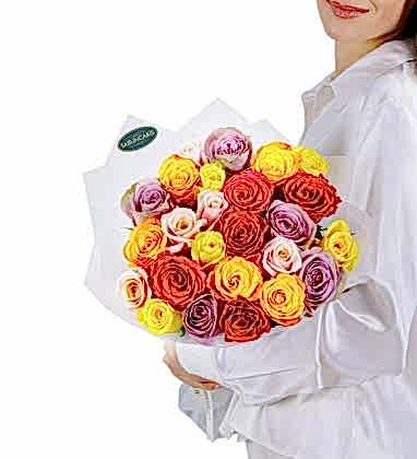 Candylicious Roses