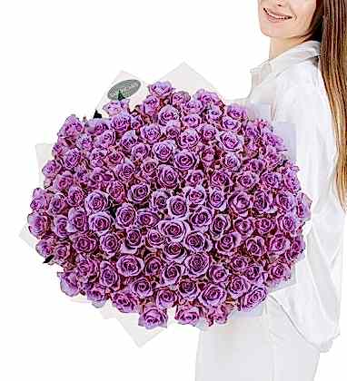 100 Purple Roses