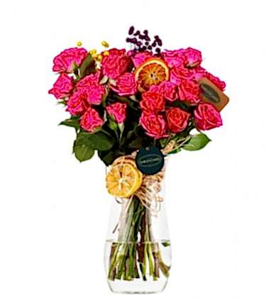 Pembe Anılar Çardak Gül