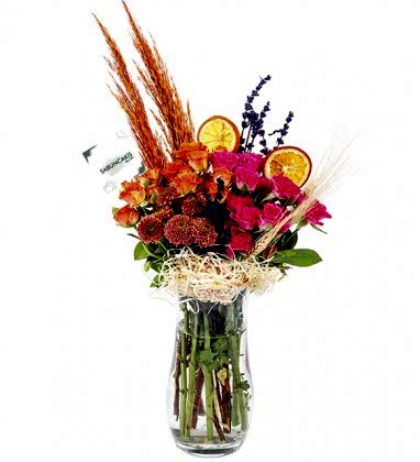 Pink Orange Çardak Gülleri